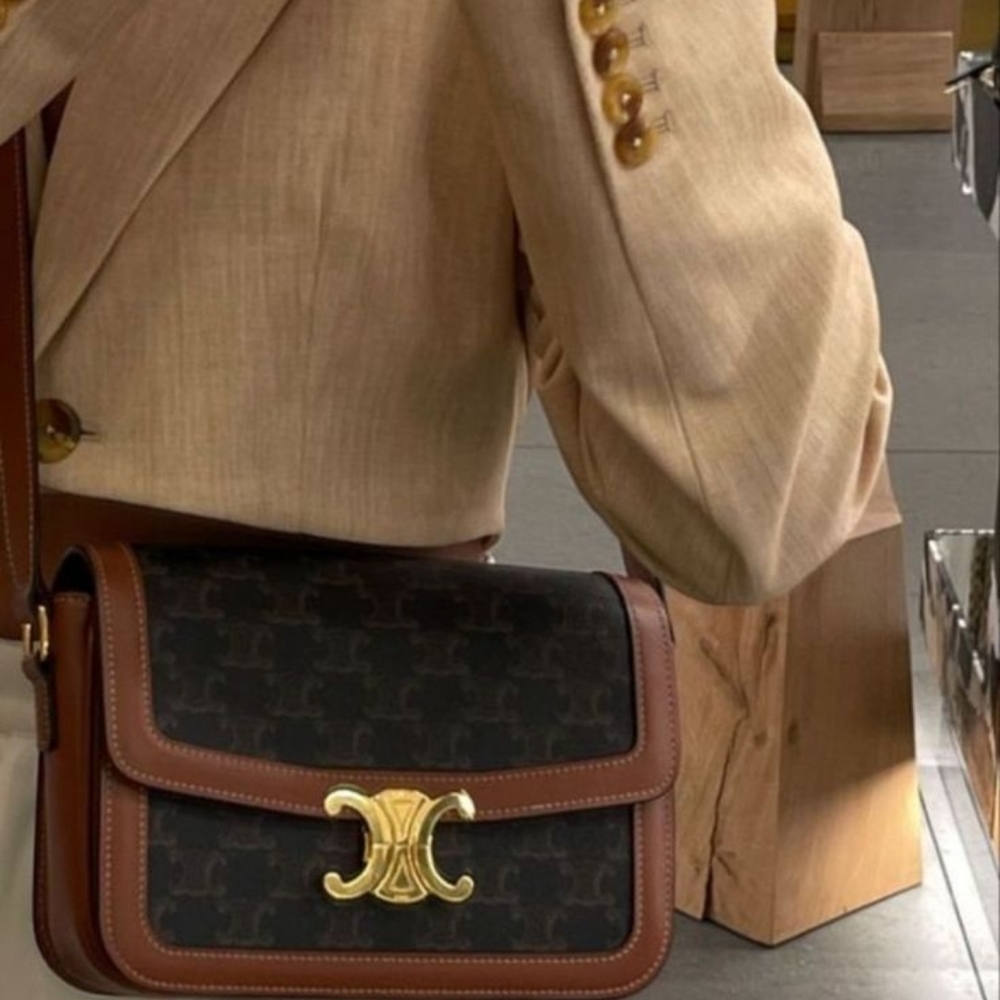 BRAND NEW! Celine TEEN TRIOMPHE BAG IN TRIOMPHE CANVAS AND CALFSKIN - Picture 3 of 16